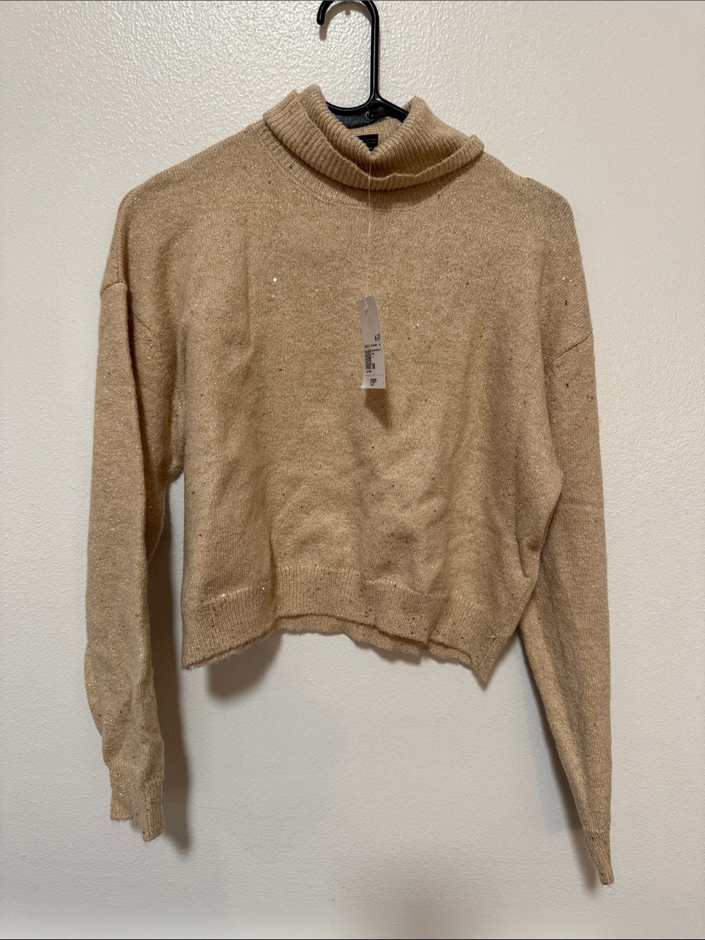 Forever 21 Beige Cropped Turtleneck Sweater